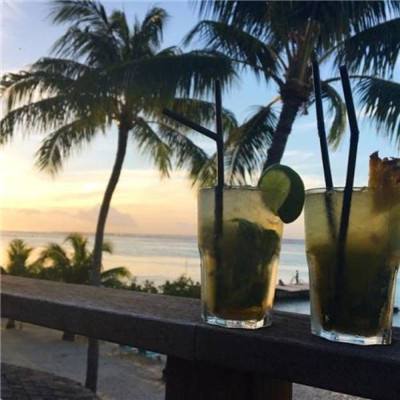航海王激战果盘版下载